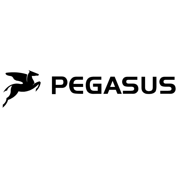 PEGASUS Logo